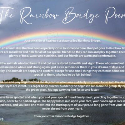 Rainbow Bridge Poem Printable