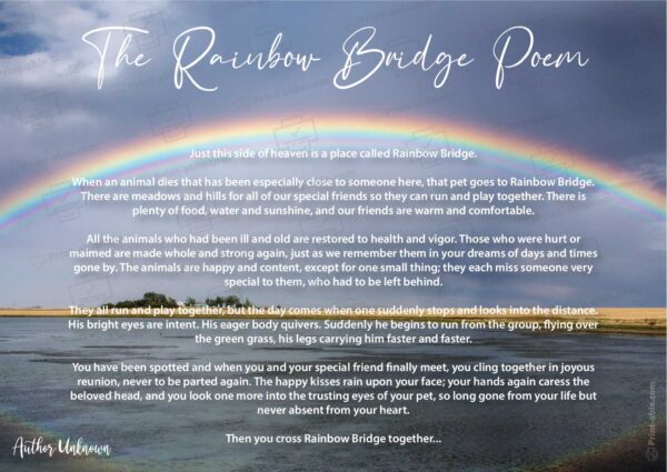 Rainbow Bridge Poem Printable