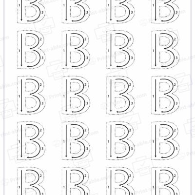 Letter B Printable Worksheet