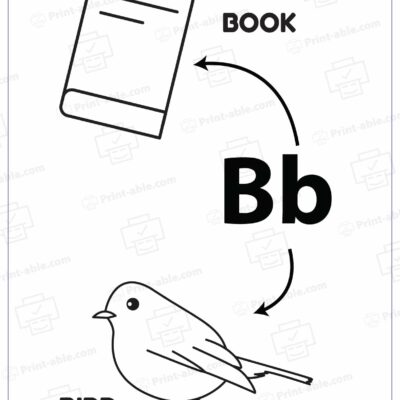Letter B Printable Worksheet