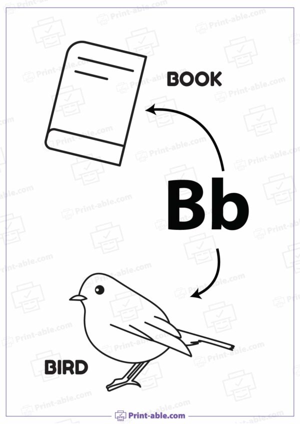Letter B Printable Worksheet