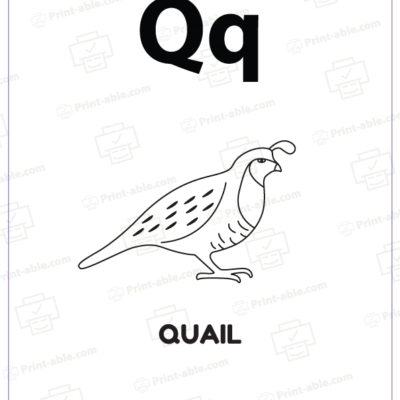 Letter Q Coloring Worksheets 2907
