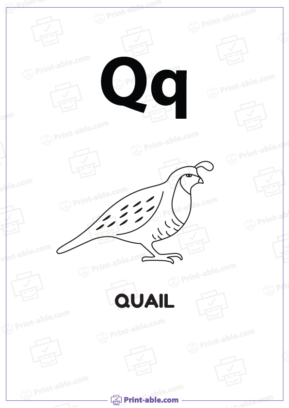Letter Q Coloring Worksheets 2907