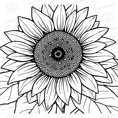Sunflower Coloring Page