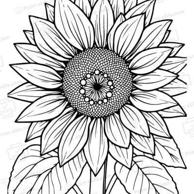 Sunflower Coloring Page