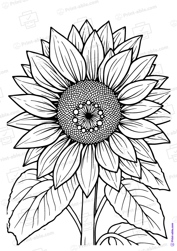 Sunflower Coloring Page