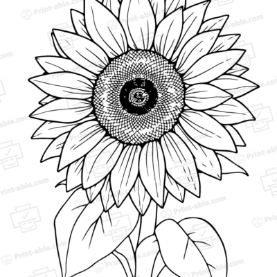 Sunflower Coloring Page