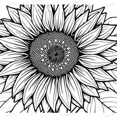 Sunflower Coloring Page